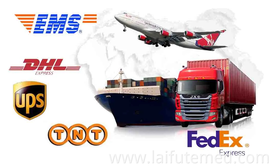 Folding Metal Collapsible Airline Approved Dog Kennel Crate for Large Pets